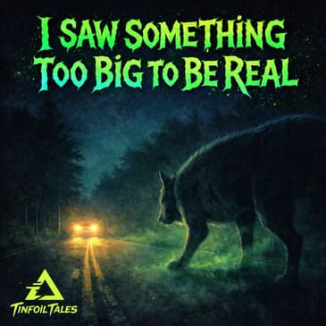 Ep. 244: I Saw Something Too Big To Be Real