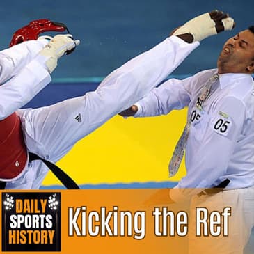 Angel Matos Kicks Taekwondo Referee
