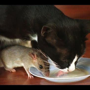 08: Party In China Episode 8