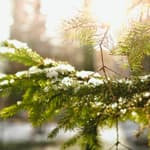 Episode 40- Christmas During the Revolution Flashback!