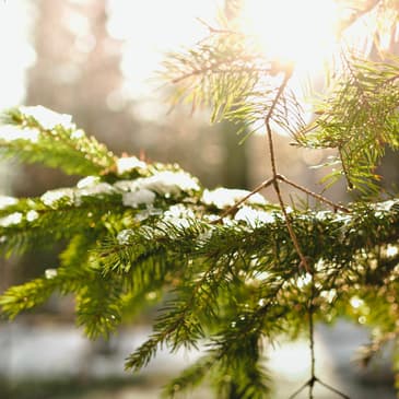 Episode 40- Christmas During the Revolution Flashback!