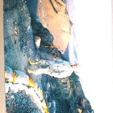 DAC-NBC Guy Talks About Covid Tests