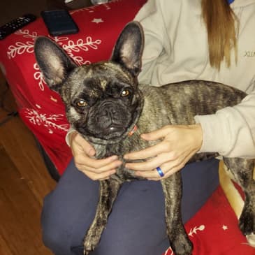 Riding Shotgun with Death