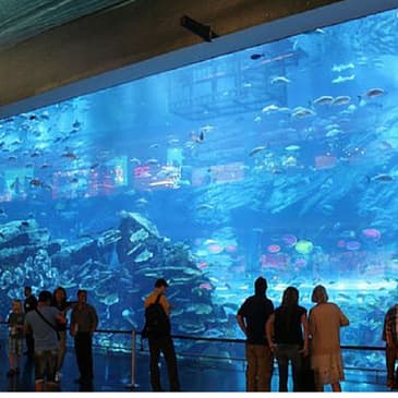 2: Travel First Ep.1 - Dubai