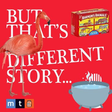 Interviews! Free To Be Zoo and Me by But That's A Different Story...