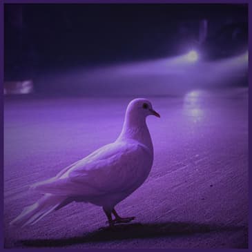 Until We Meet Again: A True Story of Grief and the Unknown
