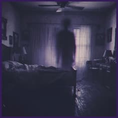 The Shadow That Flickered