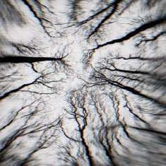 Breathing Outside the Tent: A Backcountry Nightmare