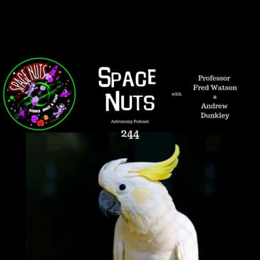 The One with the Cockatoos