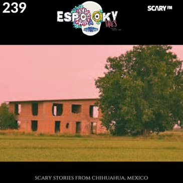 Scary Stories From Chihuahua