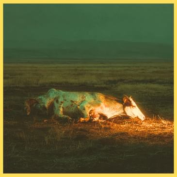 Silent Fields: The Horror of Oregon’s Ranchlands