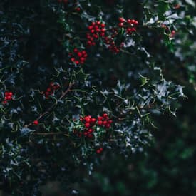 Episode 39- Colonial Christmas Flashback!