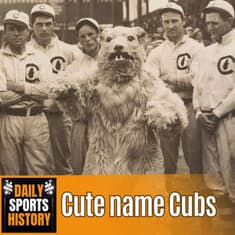 How the Chicago Cubs Got Their Name