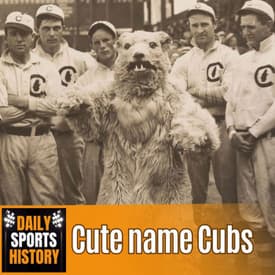 How the Chicago Cubs Got Their Name
