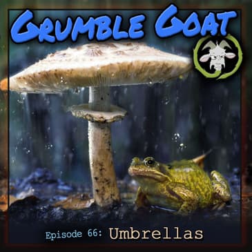 Umbrellas by Grumble Goat