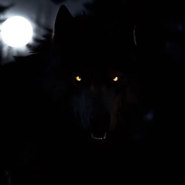 Ep. 40: Demon or Dogman? Close Encounter at Fort Polk