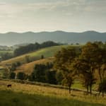 Ep. 76 – The First Thanksgiving – In Virginia?