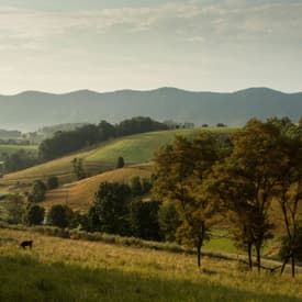 Ep. 76 – The First Thanksgiving – In Virginia?