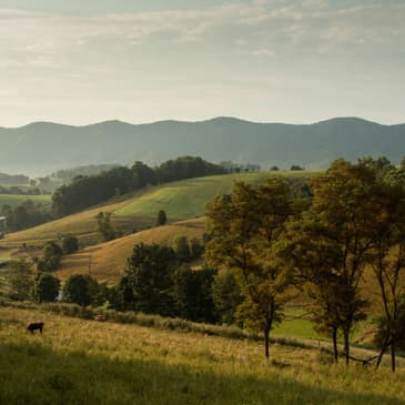 Ep. 76 – The First Thanksgiving – In Virginia?