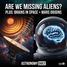 Are We Missing Alien Signals? Space Weather, Brain Changes and the Mars Life Question
