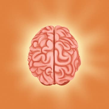 Brain Rules Book: A Breakdown of John Medina's Findings