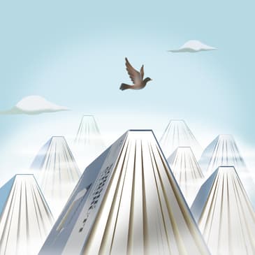 Educated&nbsp;Full Book Introdction