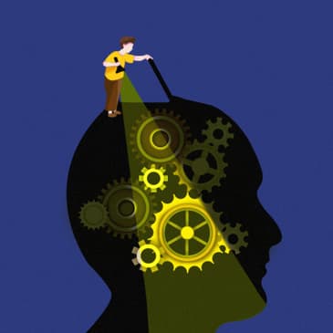 How the Mind Works Book: A Fascinating Summary