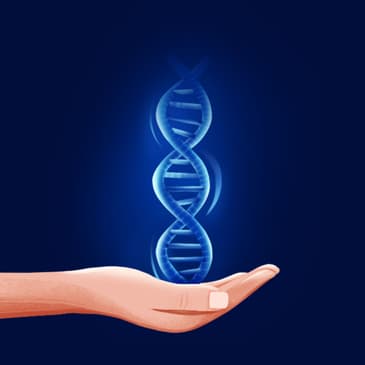 The Gene Book: A Journey through the Blueprint of Life