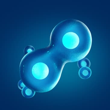 The Immortal Life Of Henrietta Lacks Introduction