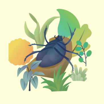 The Metamorphosis: A Tale of Transformation and Isolation