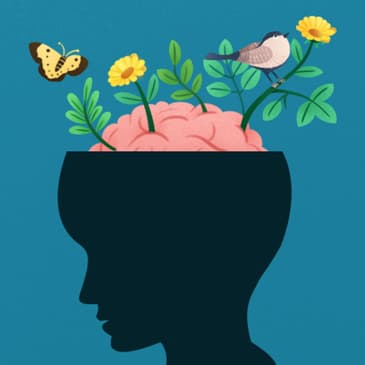 The Whole-Brain Child Book: Transforming Parenting with Neuroscience