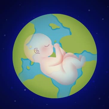 Notas completas del libro Una breve historia de casi todo