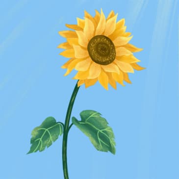 El hombre en busca de sentido Puntos destacados del libro completo