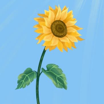 Las Mejores 30 Frases De El Hombre En Busca De Sentido