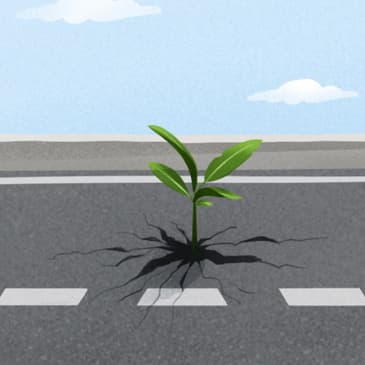 Las Mejores 30 Frases De Más Fuerte Que Nunca Con Foto