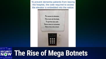 SN 1047: RediShell's CVSS 10.0 - The Rise of Mega Botnets