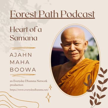 Heart of a Samana | Ajahn Maha Boowa