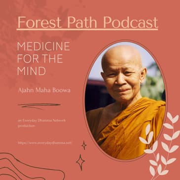 Medicine For The Mind | Ajahn Maha Boowa