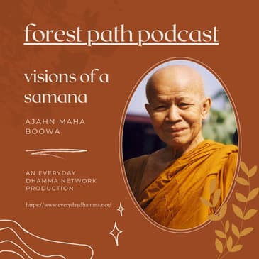 Visions of a Samana | Ajahn Maha Boowa