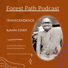 Transcendence | Ajahn Chah