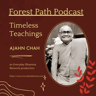 Timeless Teachings | Ajahn Chah