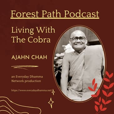 Living With The Cobra | Ajahn Chah