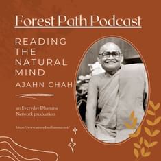 Reading the Natural Mind | Ajahn Chah