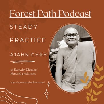 Steady Practice | Ajahn Chah