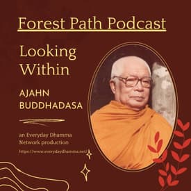 Looking Within | Ajahn Buddhadasa
