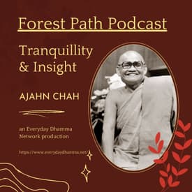 'Training This Mind' and 'Tranquillity and Insight' | Ajahn Chah