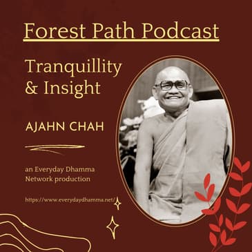 'Training This Mind' and 'Tranquillity and Insight' | Ajahn Chah