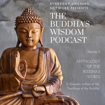 The Domain of Wisdom - In the Buddha’s Words [S3E26]