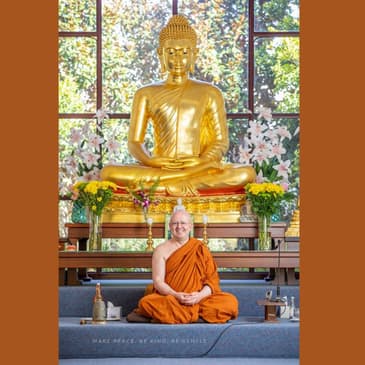 Guided Meditation with Ajahn Brahm (20100102)