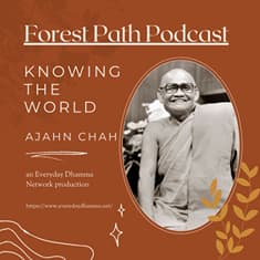 Knowing The World | Ajahn Chah